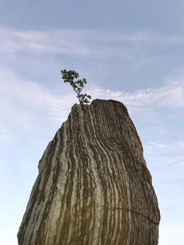 我觉得山西人最大的优点是坚韧不拔。山西地处黄土高原，自然环境艰苦，这造就了他们吃