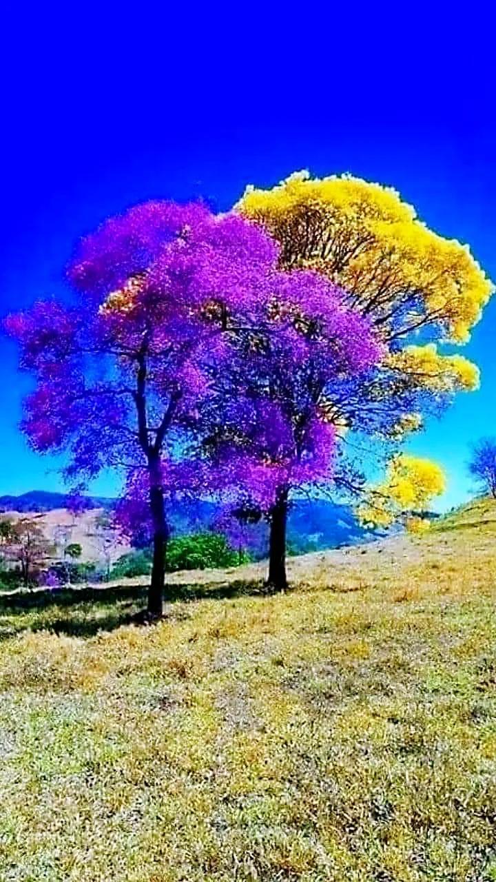 2026年，我最想实现的事，是挣脱“标准答案”的束缚。我们总习惯用别人的尺子量自