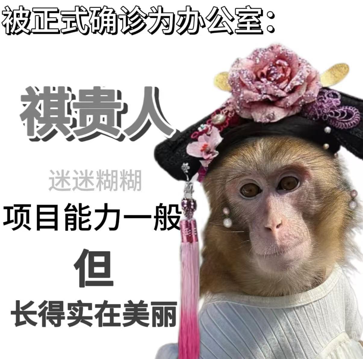 张若昀白客被问在甄嬛传能活几集 张若昀这梗接得太丝滑了！紫禁城＝止进城，刘奔还没