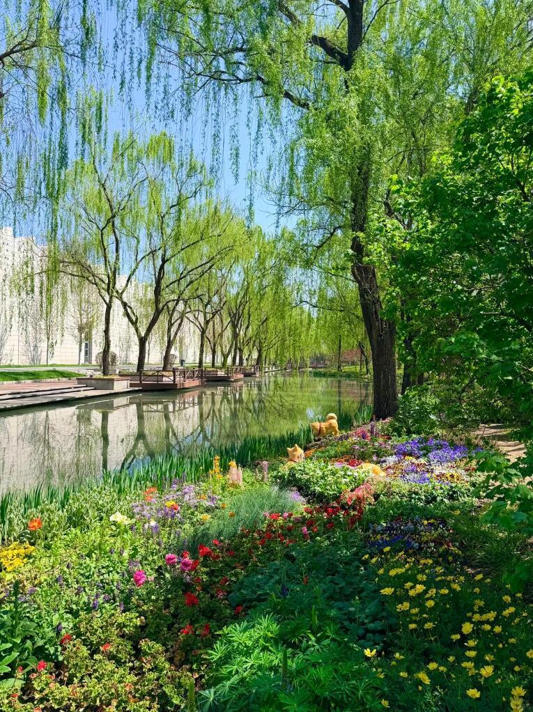 春天的美
 
春风漫过山河，人间便揉进了温柔的诗意，春天的美，是无声的奔赴，是万