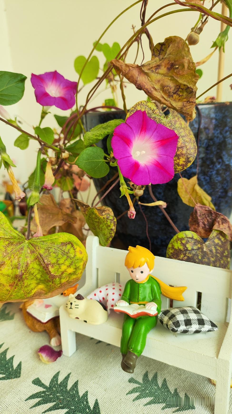 我们经常说一句话，种一棵树最好的时间是十年前，其次是现在

以前听到这句话，也知