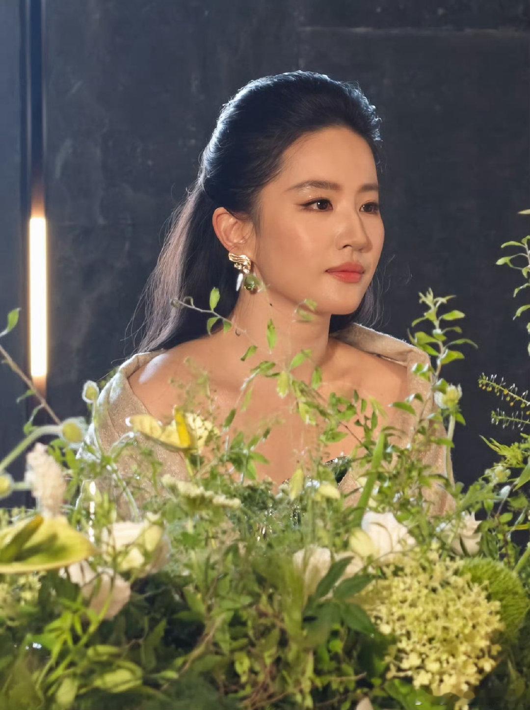 刘亦菲美商刘亦菲面部立体度 刘亦菲面部平整度 ，怎么美成这样啊 