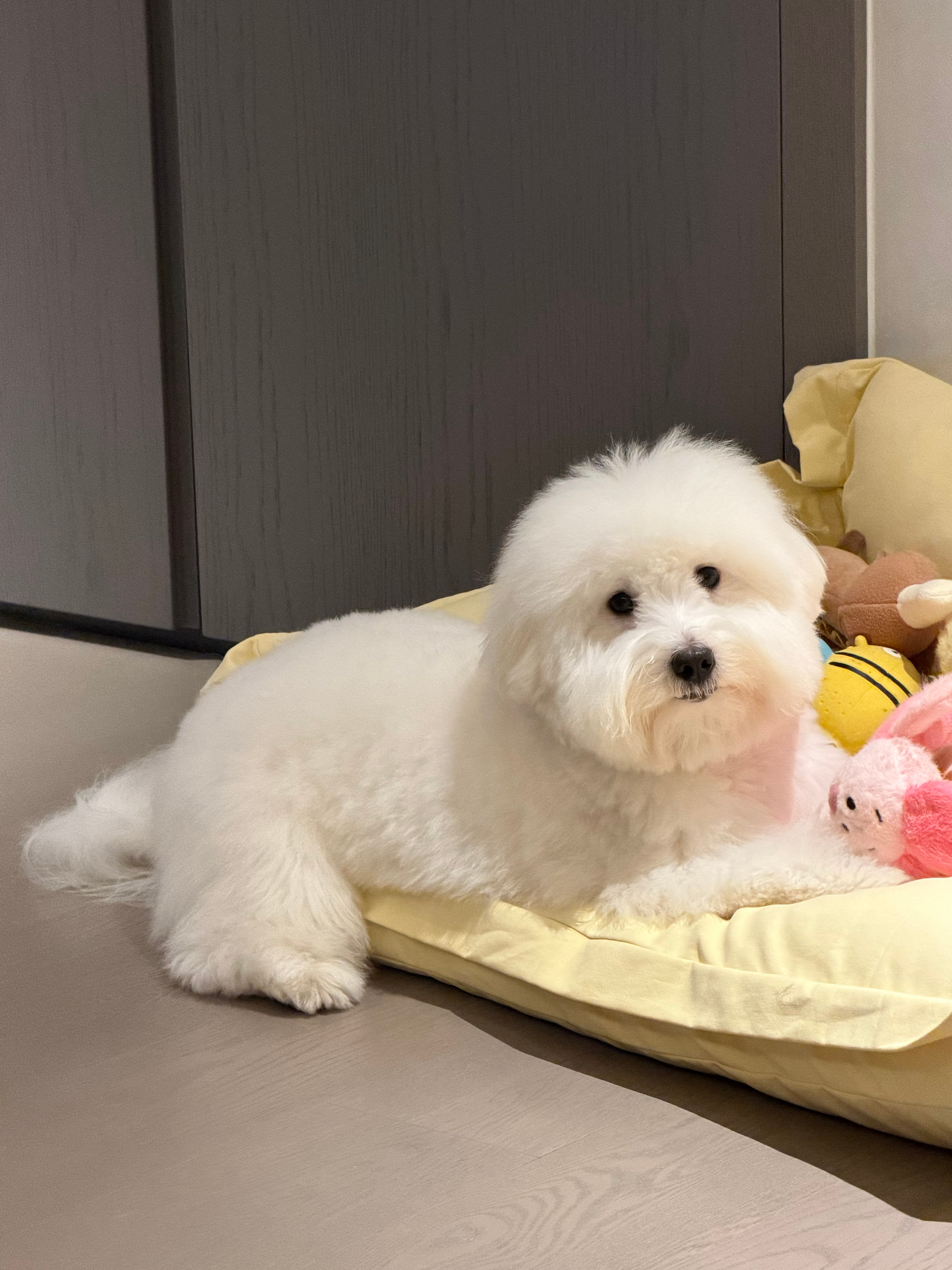 难得失眠了 想了很多 更新一下🥀  我就是那种想的很多却做的很少的人 