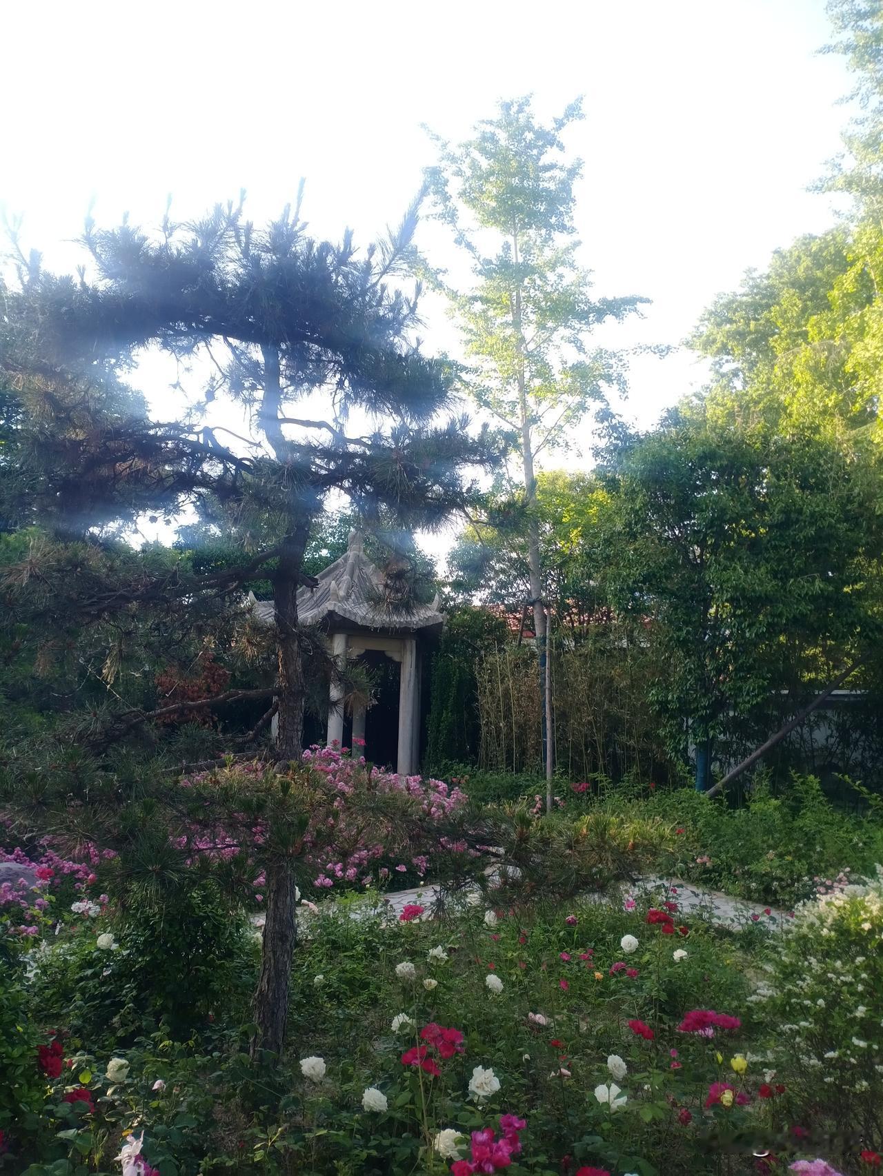 虚心者
去其持，存其空，
如之在谷，纳百川；
如之在宇，容万象。