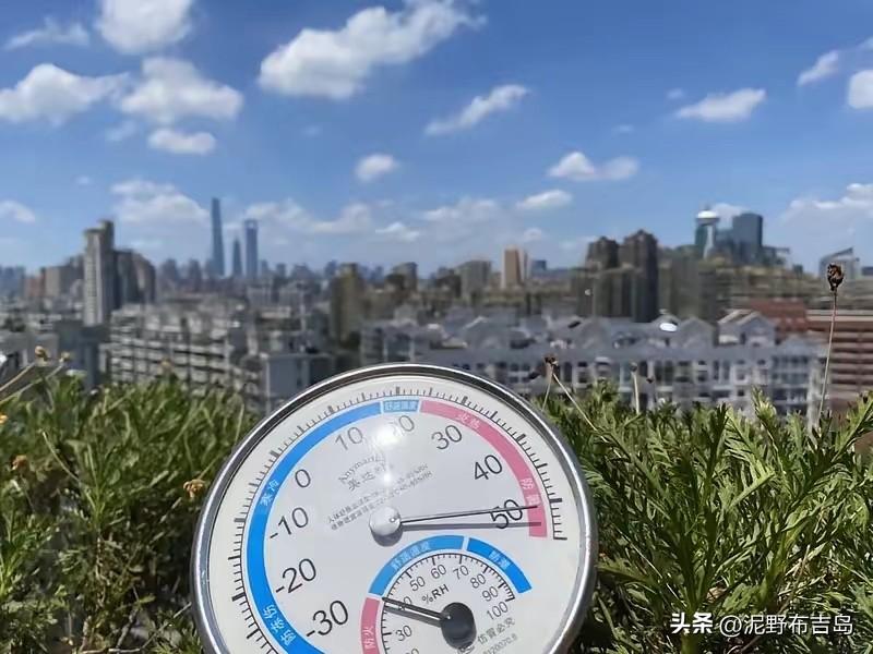 实事求是的说，整个江浙沪的气候最不适合人类居住。

夏天受副高影响控制，直奔四十