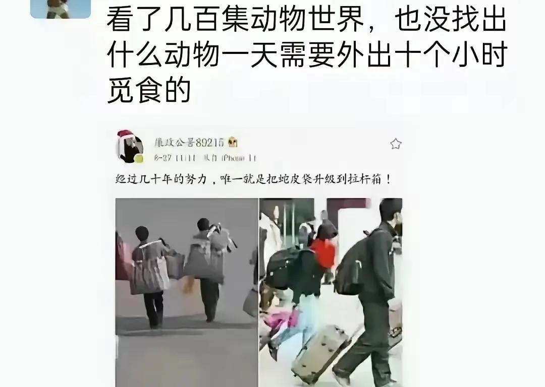 哦，主要是因为它们不需要买房子买车子，结婚不需要订酒店摆酒不需要彩礼嫁妆，生孩子