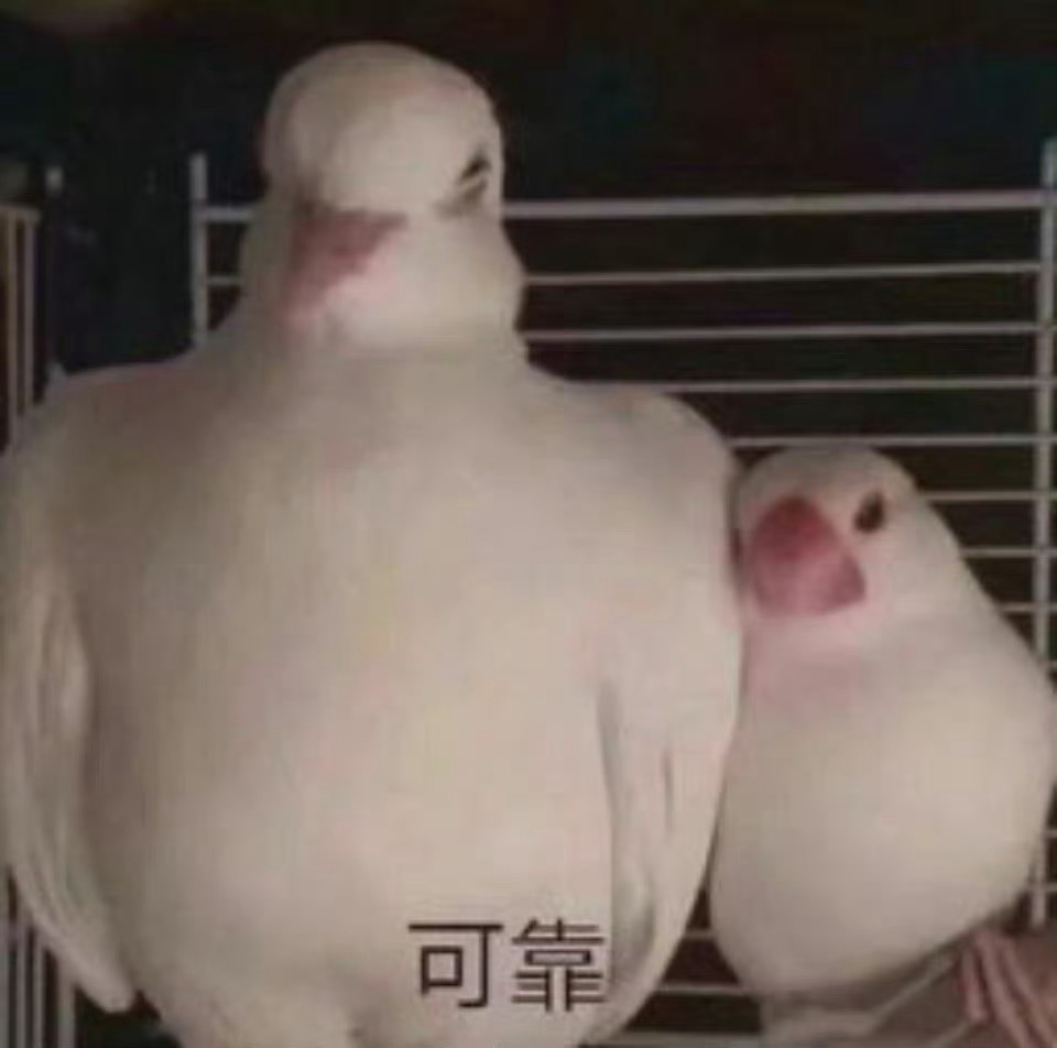 宝宝我可靠，快来 ​​​
