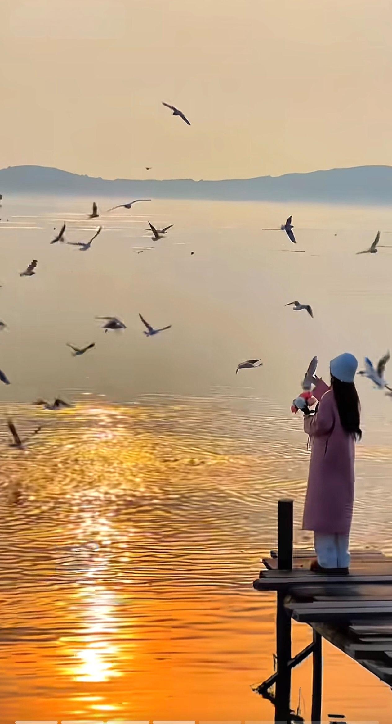 2025年
要说再见了
这一年里
自己真诚而勇敢
2026年
再加把劲儿吧
更用