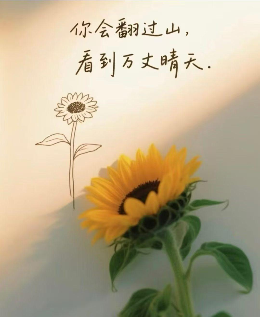 年龄从来不是阻碍，在努力遇见未来更好自己的路上，勇往直前！持续加油！