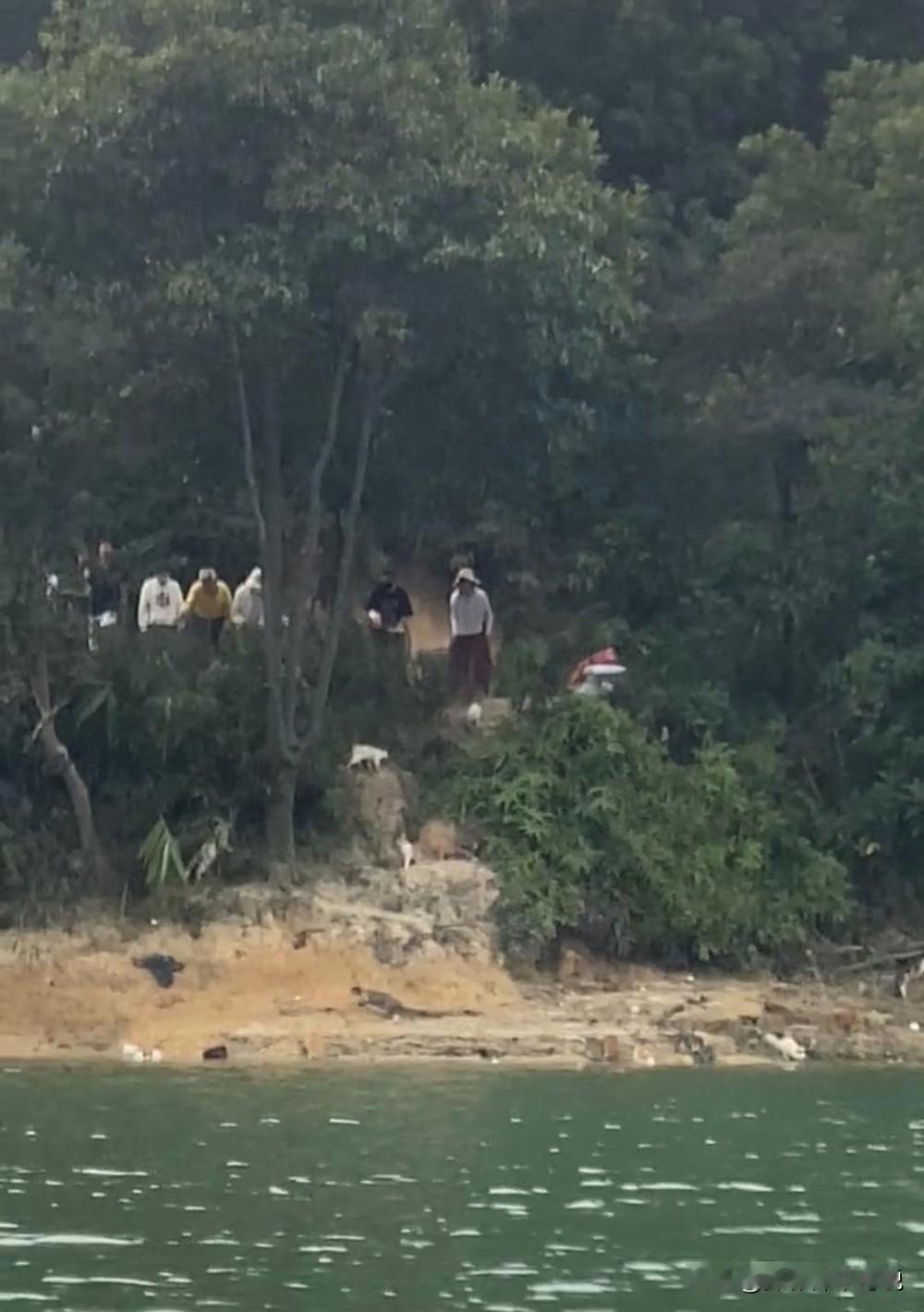 水库放生猫可不只是伪善那么简单，搞不好还有不可告人的秘密。我怀疑的理由有以下两点