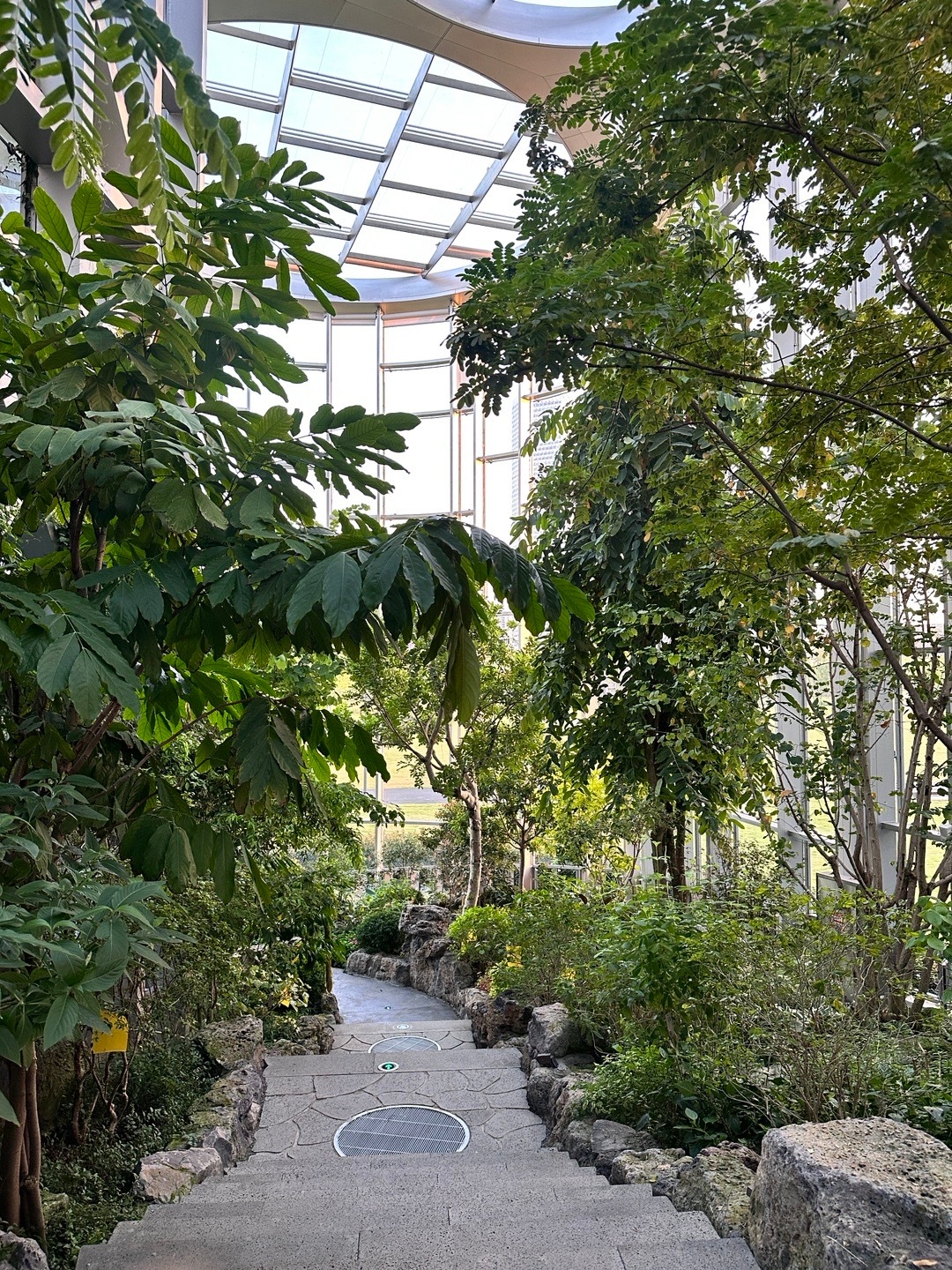 “一定要爱着点什么，恰似草木对光阴的钟情”珂以安排一下 ​​​