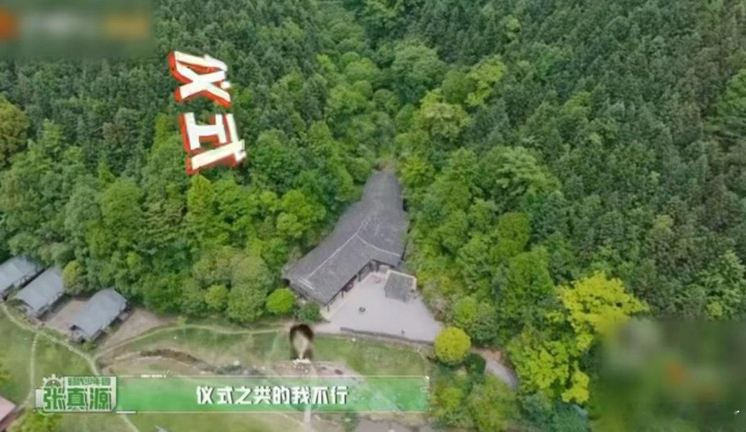 张真源这是在给导演组提供思路吗张真源一开口就是我不行 张真源真的在给密逃导演组提
