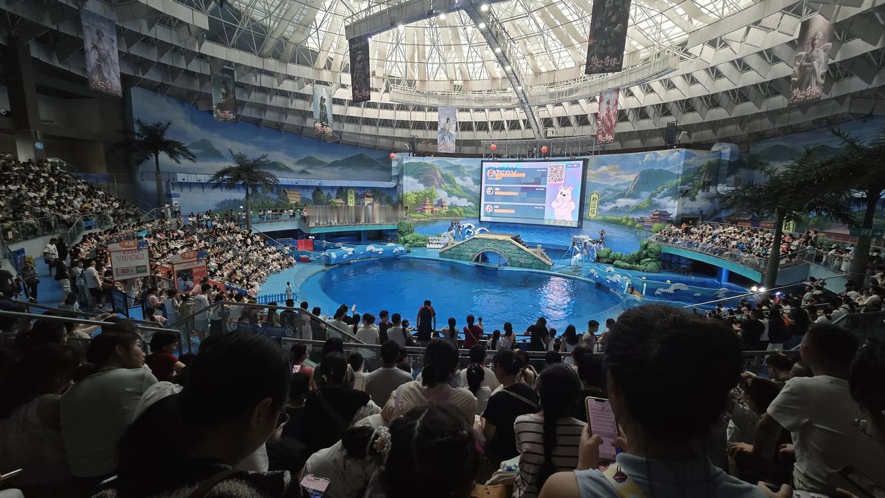 好多人，放暑假都来海洋馆玩了，带上小孩来看鲸豚表演！收心过暑假 娃要放暑假