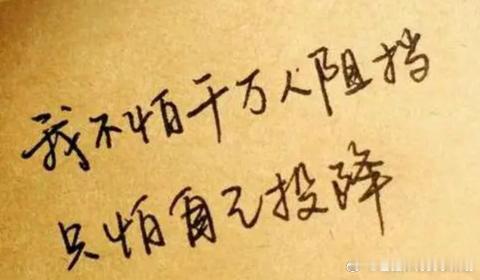 每日一善 勇敢面对痛苦与压力，积极向上，拥有梦想和信仰，这是人生中的另一种精彩。