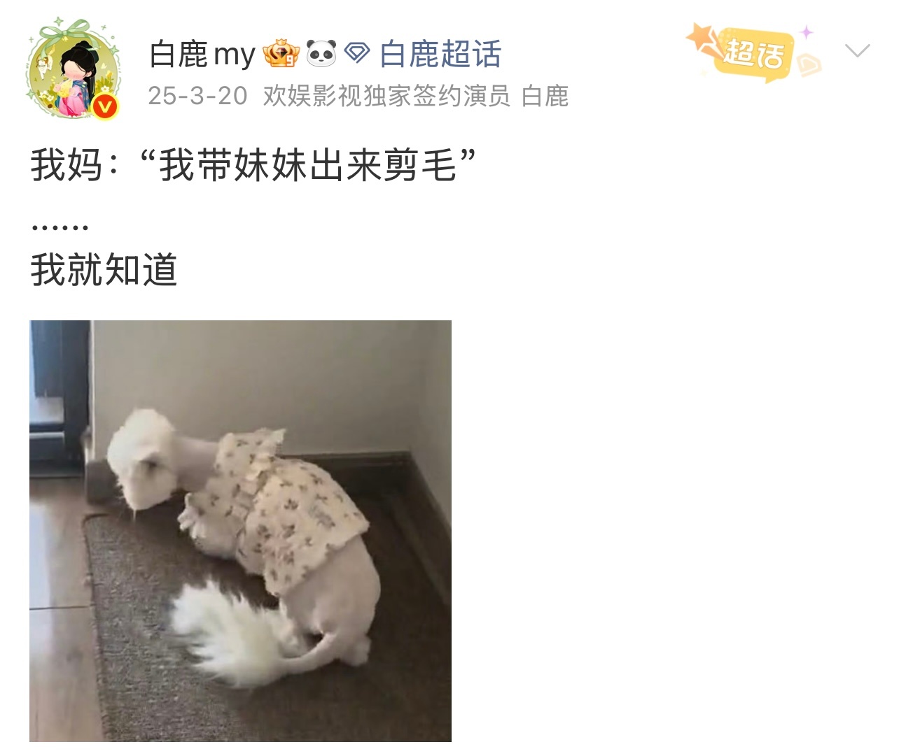 给新粉宝宝们看一下白鹿养妹妹的小时候&咱妈接手以后的妹妹