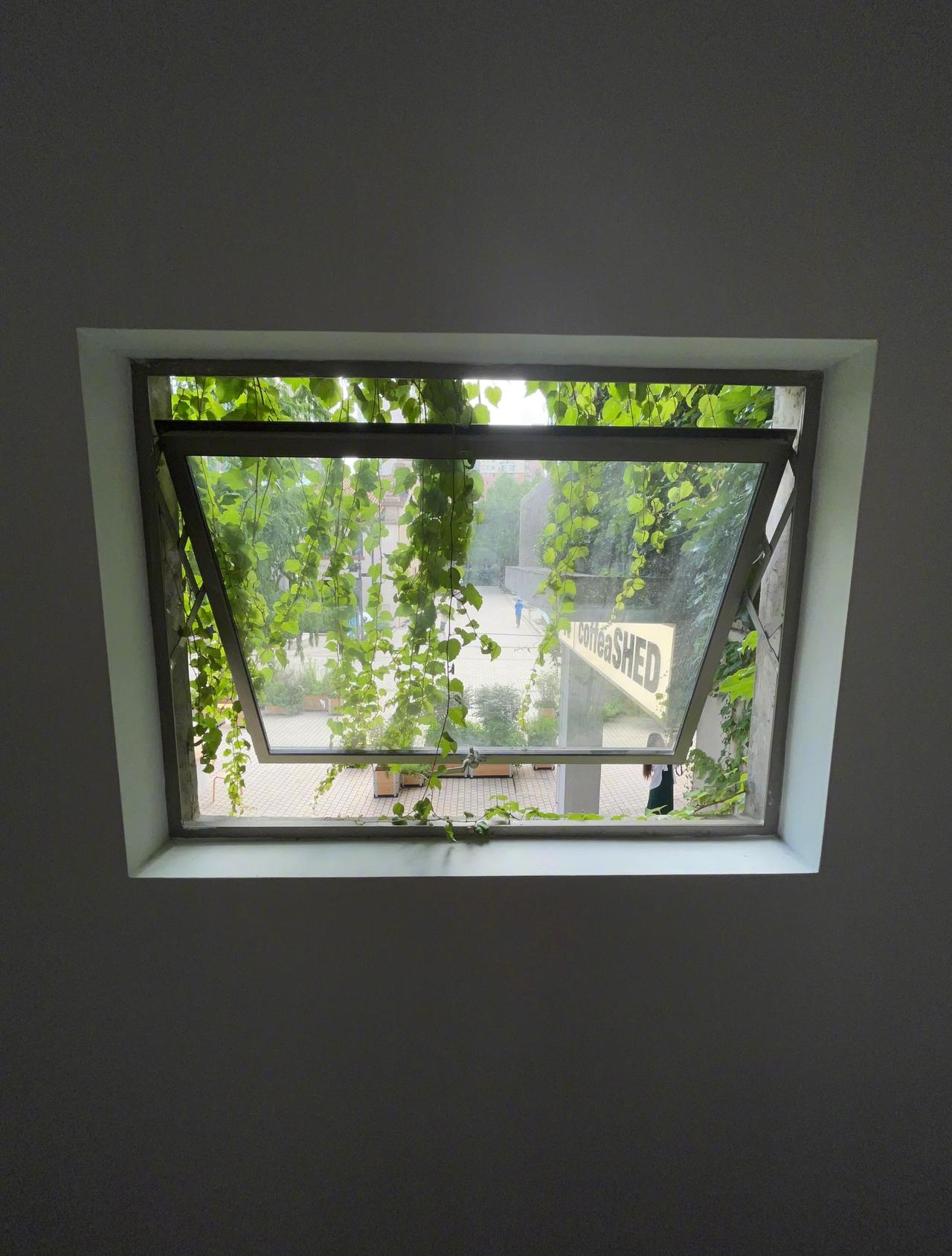 ིྀ𝙎𝙝𝙖𝙧𝙚 𝙏𝙞𝙢𝙚🥂慢慢慢慢慢慢生活 ​​​