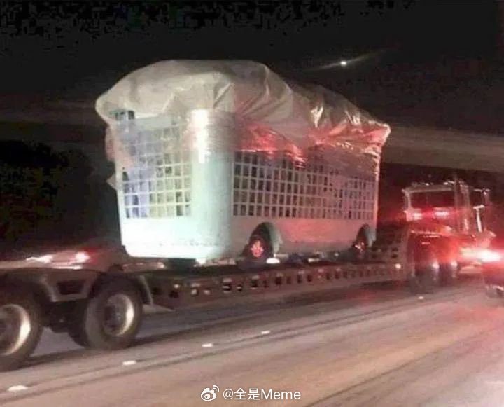 当我几个星期都没有洗衣服时： ​​​