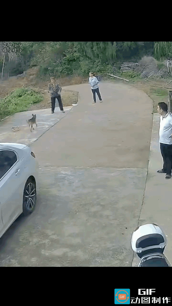 狗狗不怀好意的对着老人冲过来，老人有点预感，连忙闪避。
她倒是躲过去了，站在她身