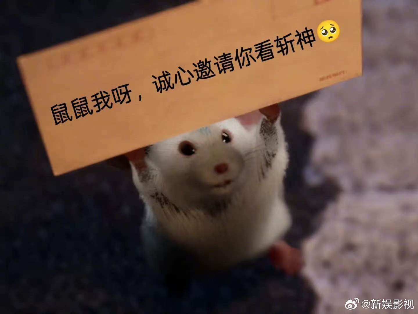 斩神2沧南神战全员开大 盼了许久终于等到沧南神战，点映直通结局一次性看够。外神为
