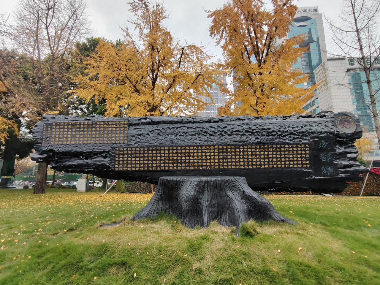 冬意渐浓，打卡成都天府广场旁边的银杏树与现代建筑，真能体验到自然和都市的奇妙交融