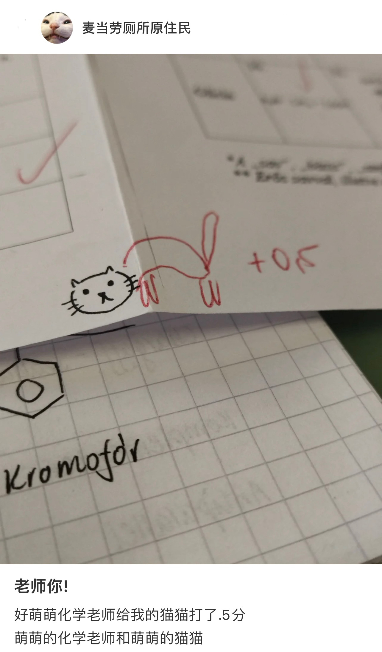 老师给画在试卷上的猫猫打了0.5分那画200个猫猫头是不是可以得100分了[哇]