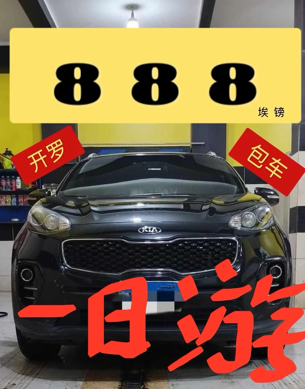 埃及包車，開羅包車 。