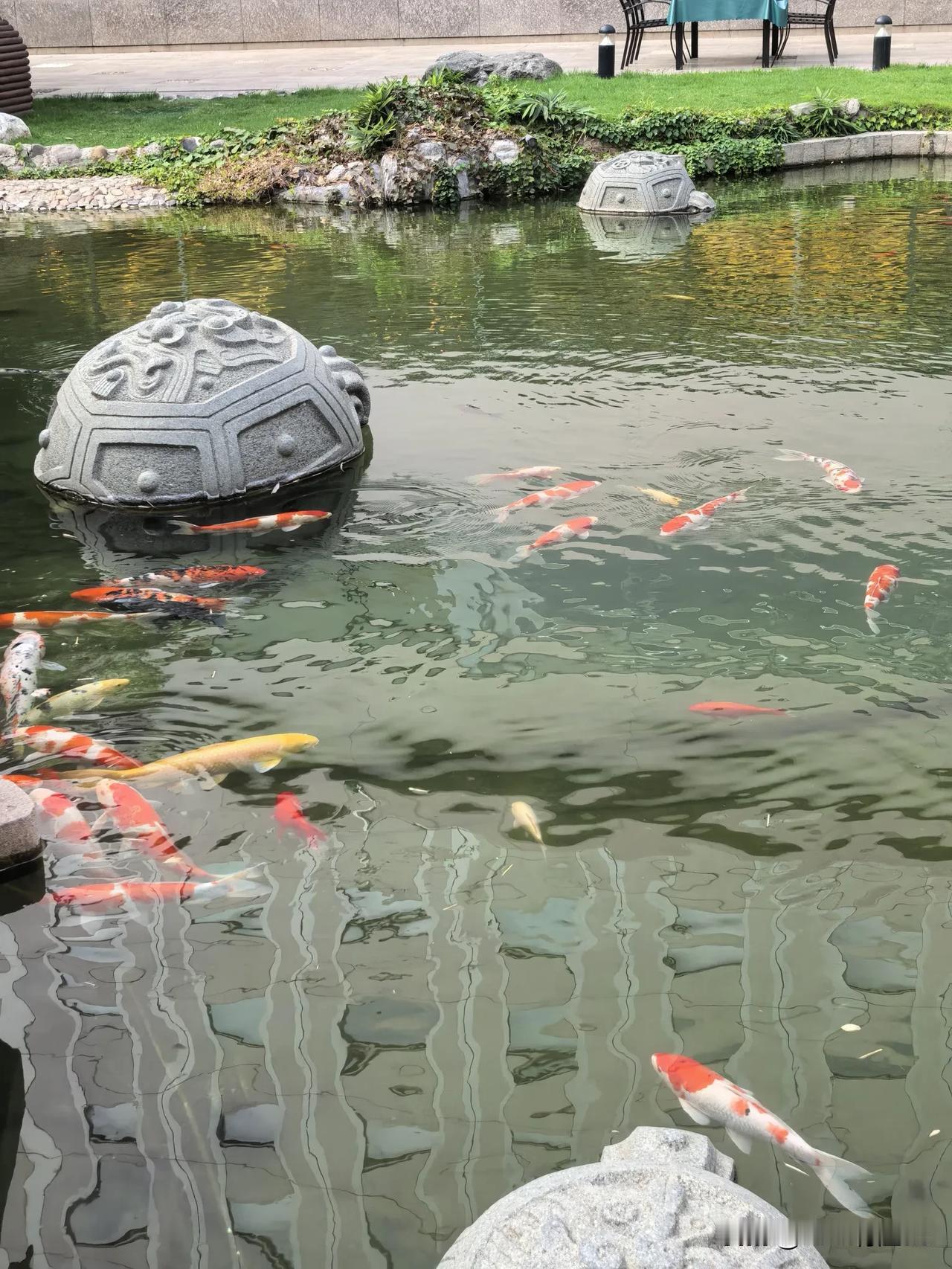 池