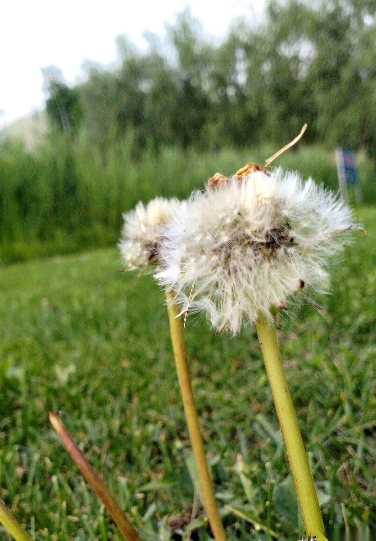 放假前最狠的一天，不是考试那天。
也不是发卷子那天，学生哭爹喊娘。
是考试结束，