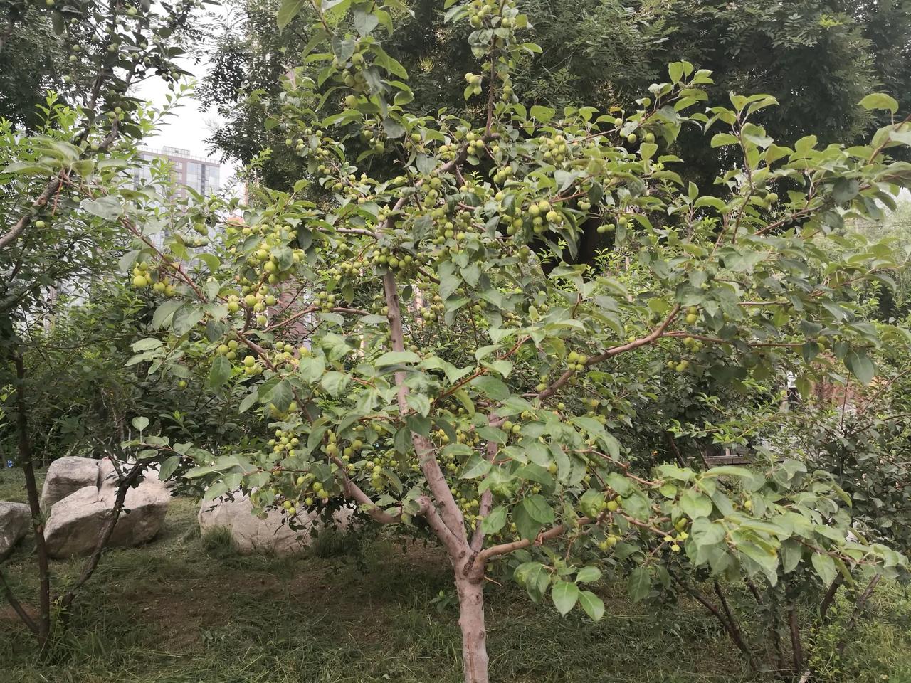 这几天我忽然间觉得家住楼房和住旅店差不多，整橦大楼属于你的也就那几十到一百多个平