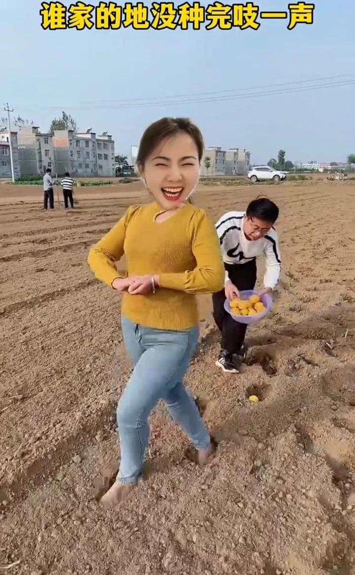 谁家的地没种完吱一声。