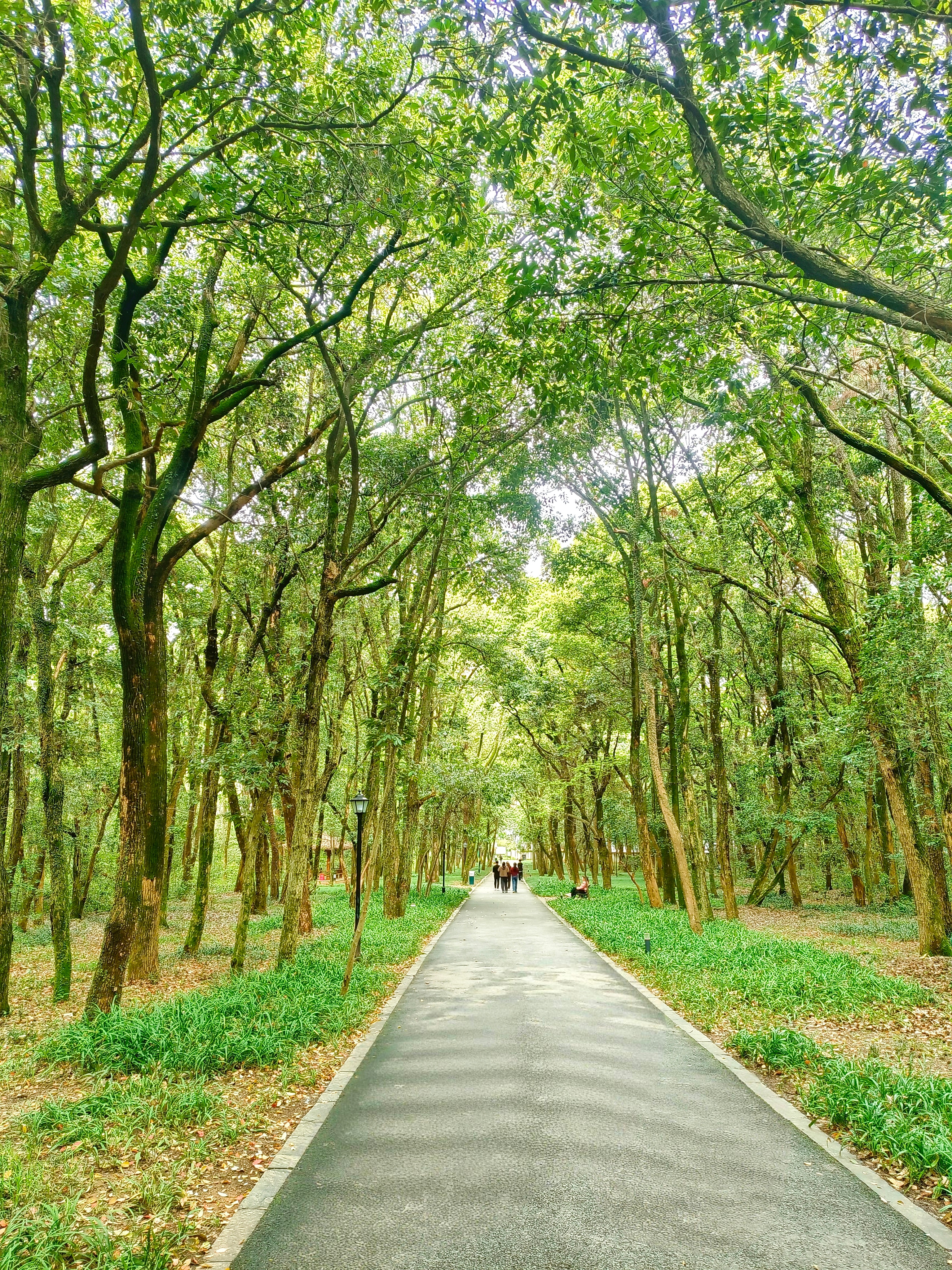 《千年瓷都》第四次来景德镇了。每一次来，都有新的发现与感动。今天沉浸式漫步景德镇