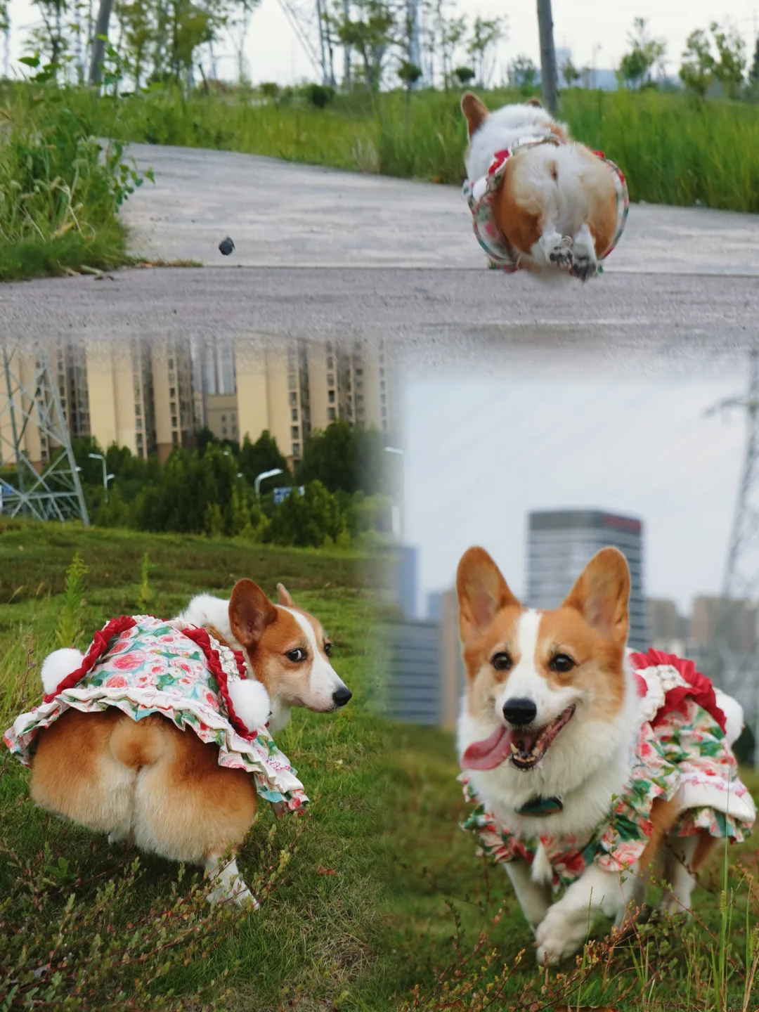 谁家好妹妹抬腿尿还被拍下来了