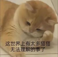 我为什么掉了一个关注，不会lysk新出的男主的激推吧（bushi）