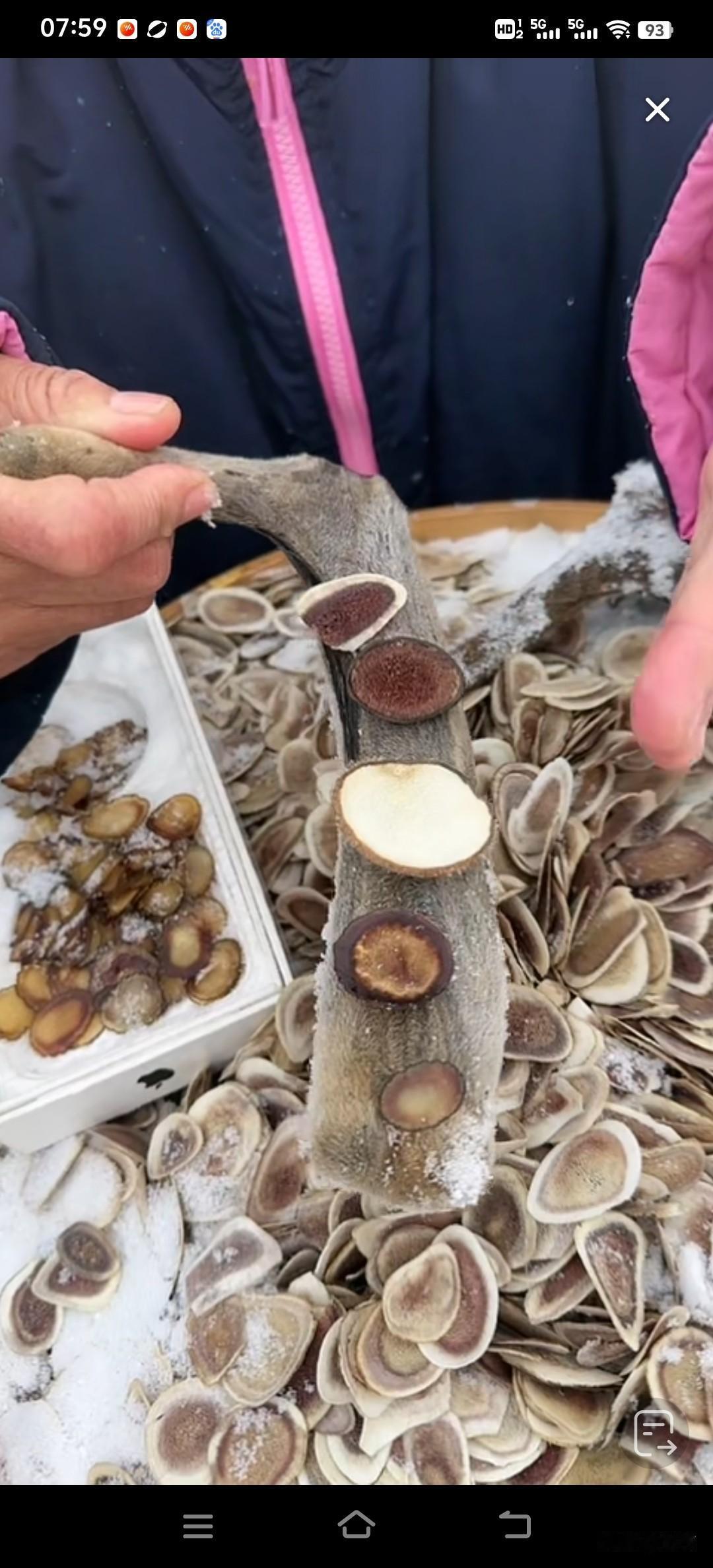 有没有知道怎么选鹿茸的，请友友在线出招……[祈祷][祈祷][祈祷][祈祷][祈祷