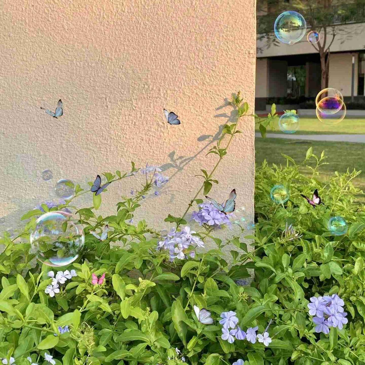 我的今日状态：😁轻松愉快
我这里的天气：☀️晴天