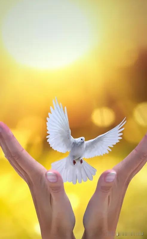 战争没有赢家，这话一点不假。看看俄乌冲突，无数家庭支离破碎，大量基础设施被摧毁，