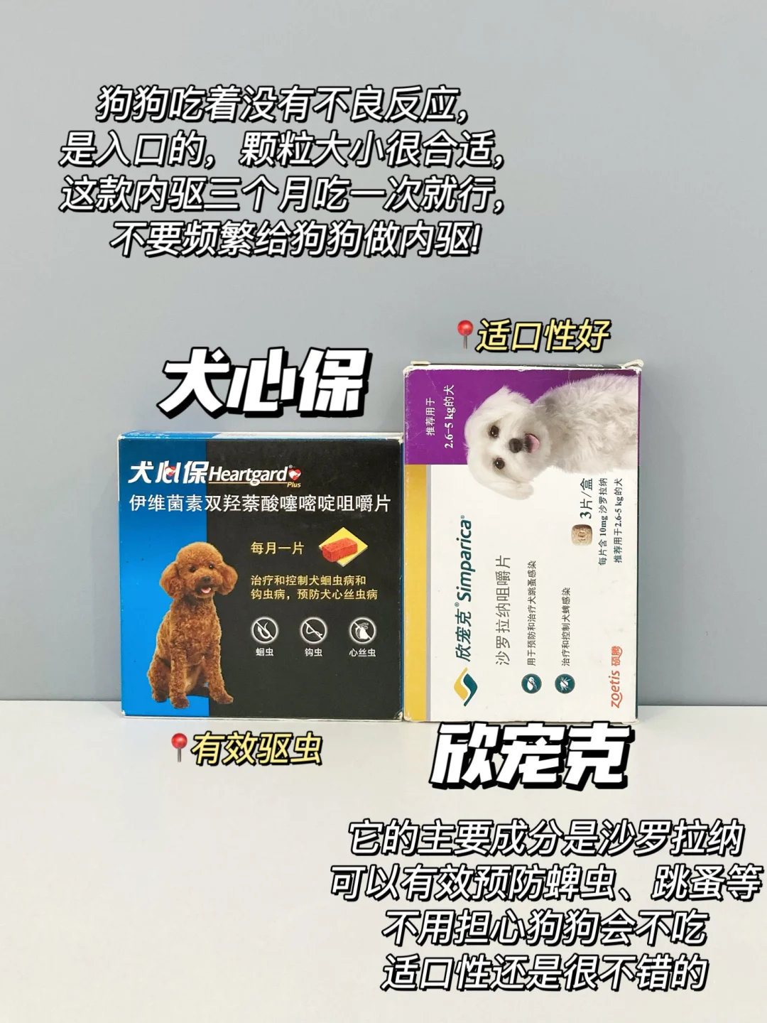自用狗狗驱虫药分享！会回购一辈子的驱虫