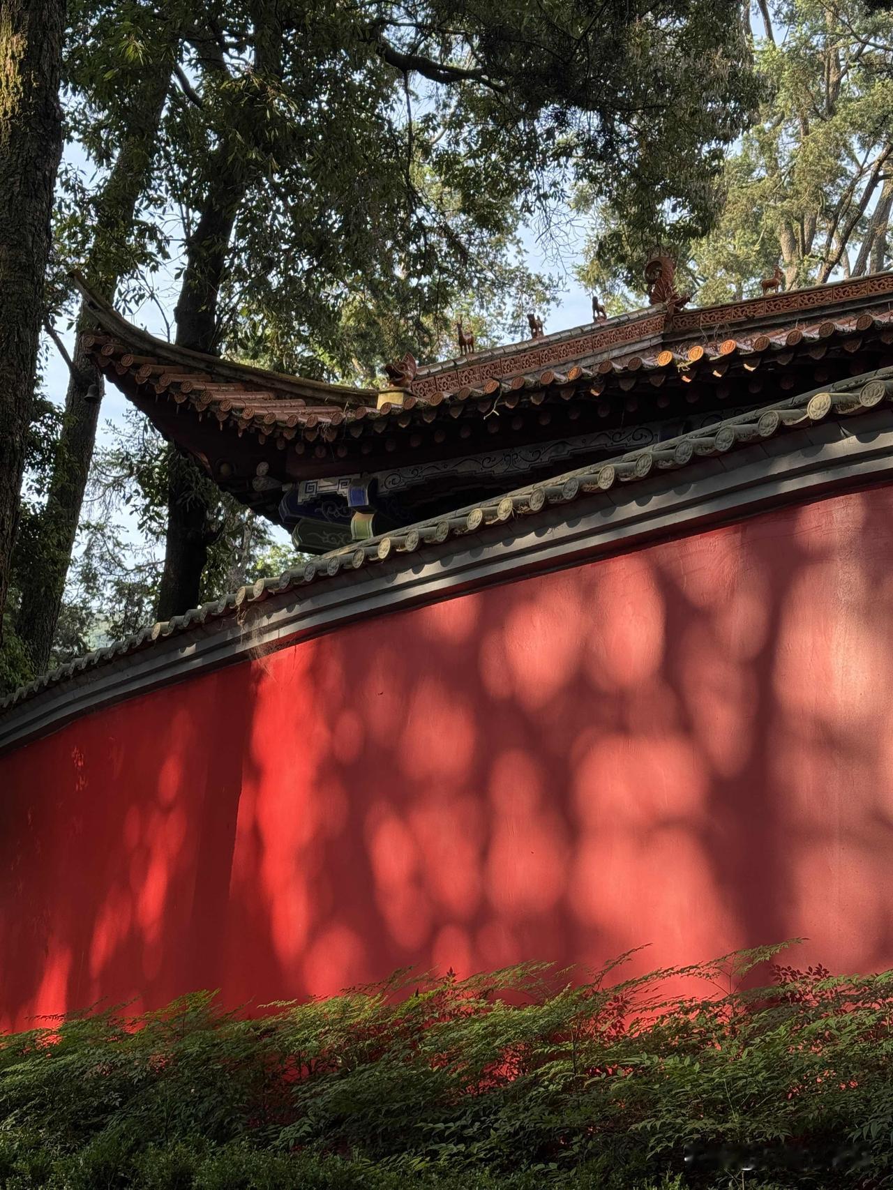 说句实在话，绝大多数人都没法深交。中国人处关系之所以累，就是因为来往时没个界限。