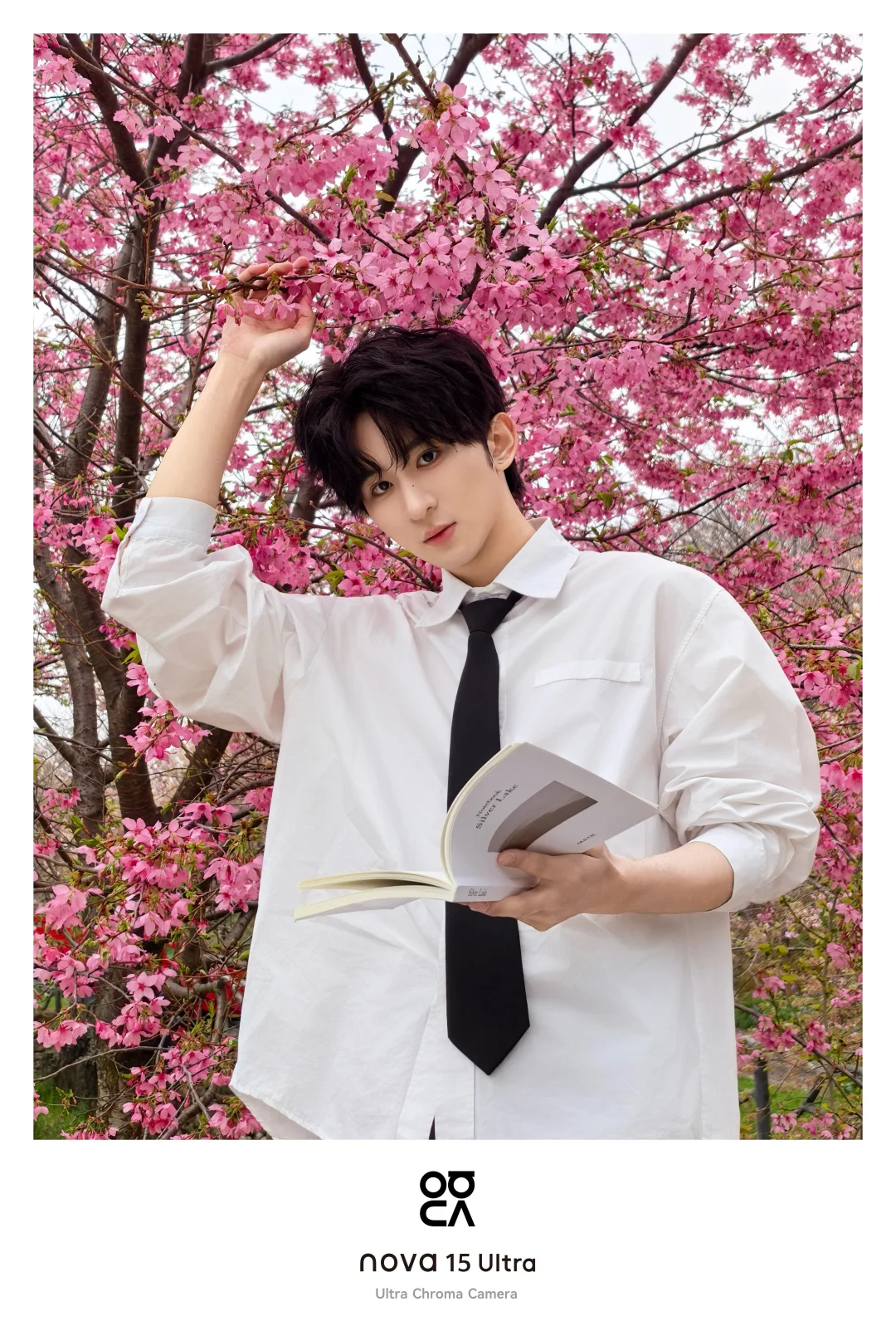 樱花树下，和你交换春天🌸