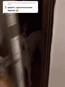 主人回家了，可狗子还像没睡醒一样，等等，重启下试试