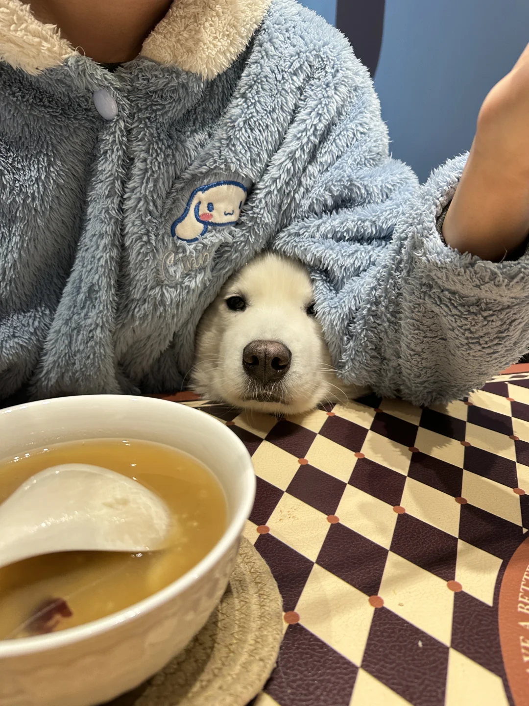 我怎么这么可爱～