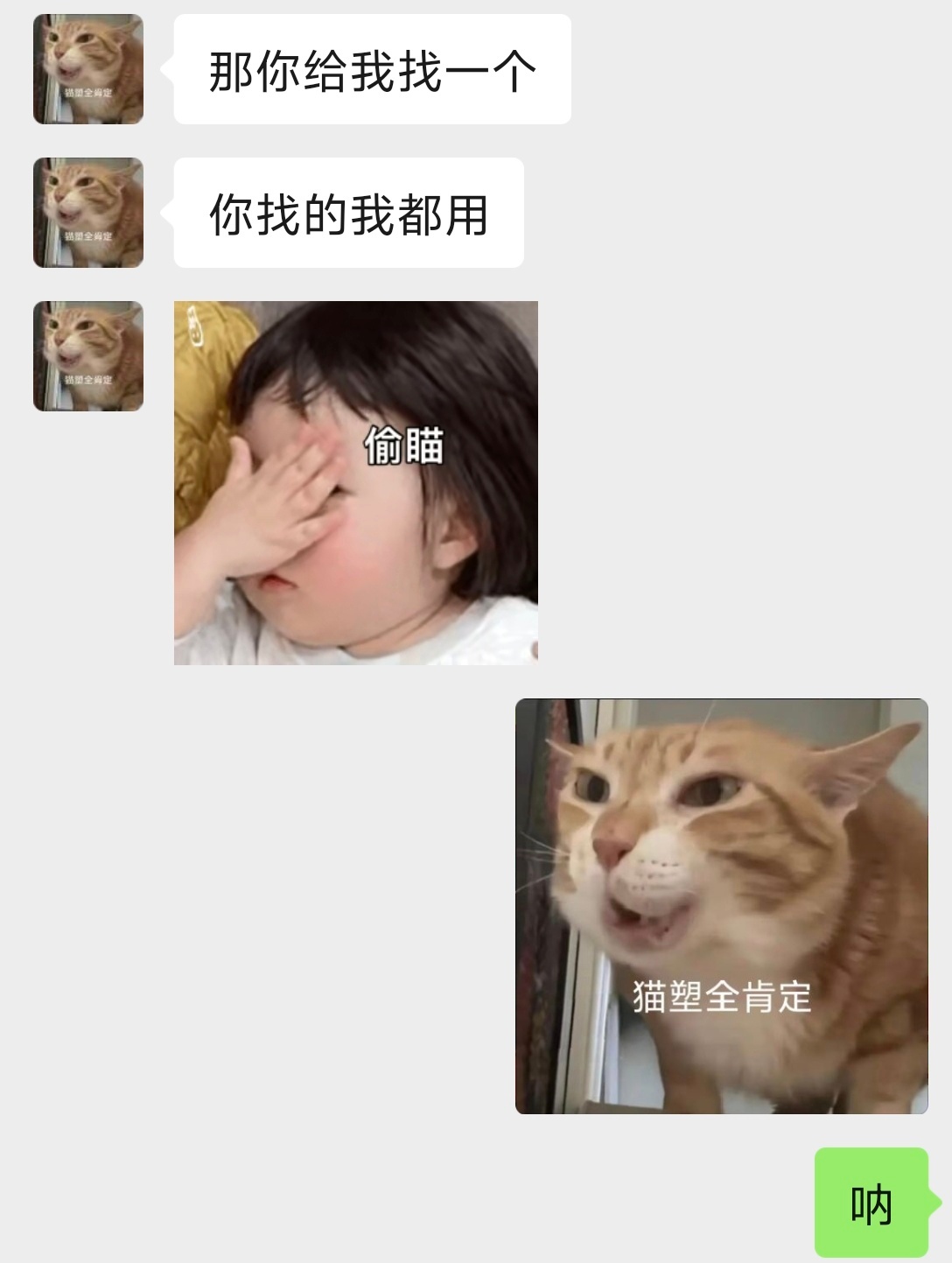 欢迎加入猫塑 