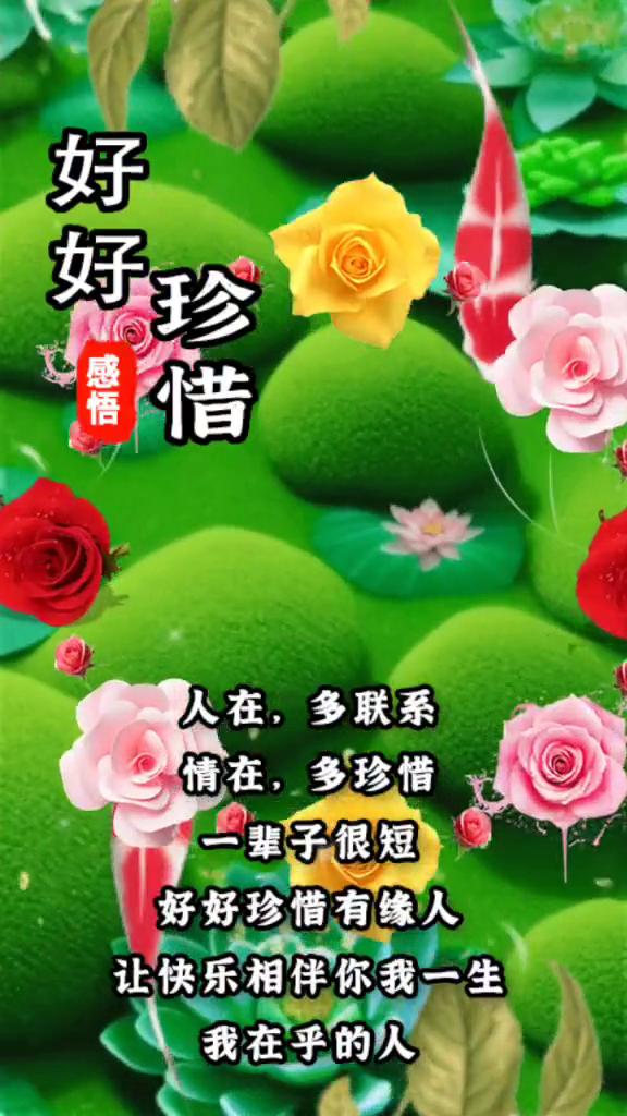 珍惜。
感悟：人在，多联系；情在，多珍惜。一辈子很短，好好珍惜有缘人，让快乐相伴