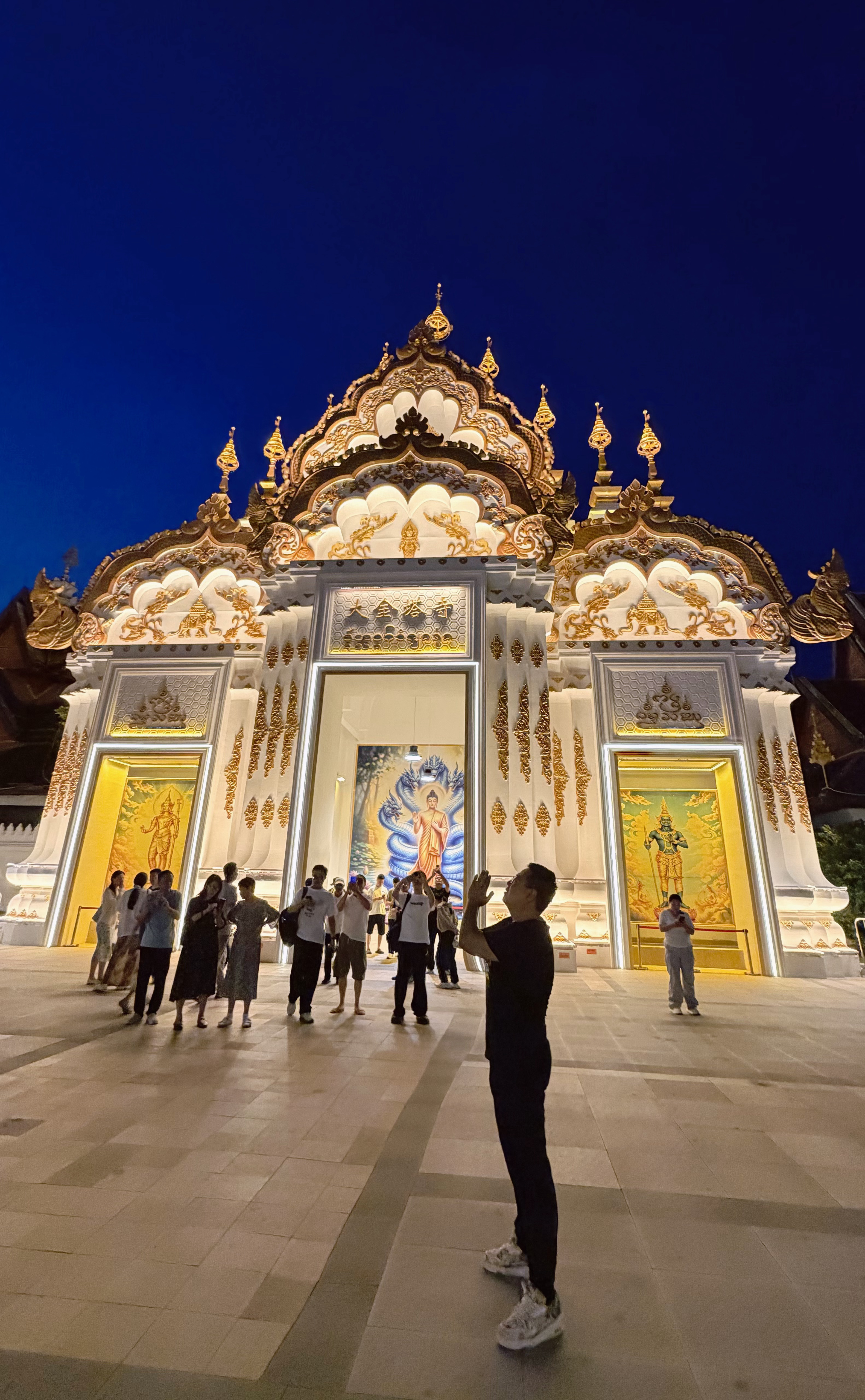 昨晚为了拍星光夜市全景，再次夜游景洪大金塔，几年前大金塔后侧的观景台是可以免费拍
