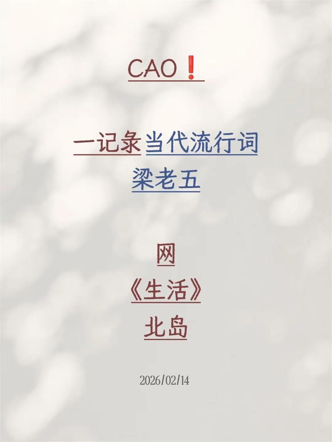 CAO❗一记录当代流行词梁老五网《生活》北岛