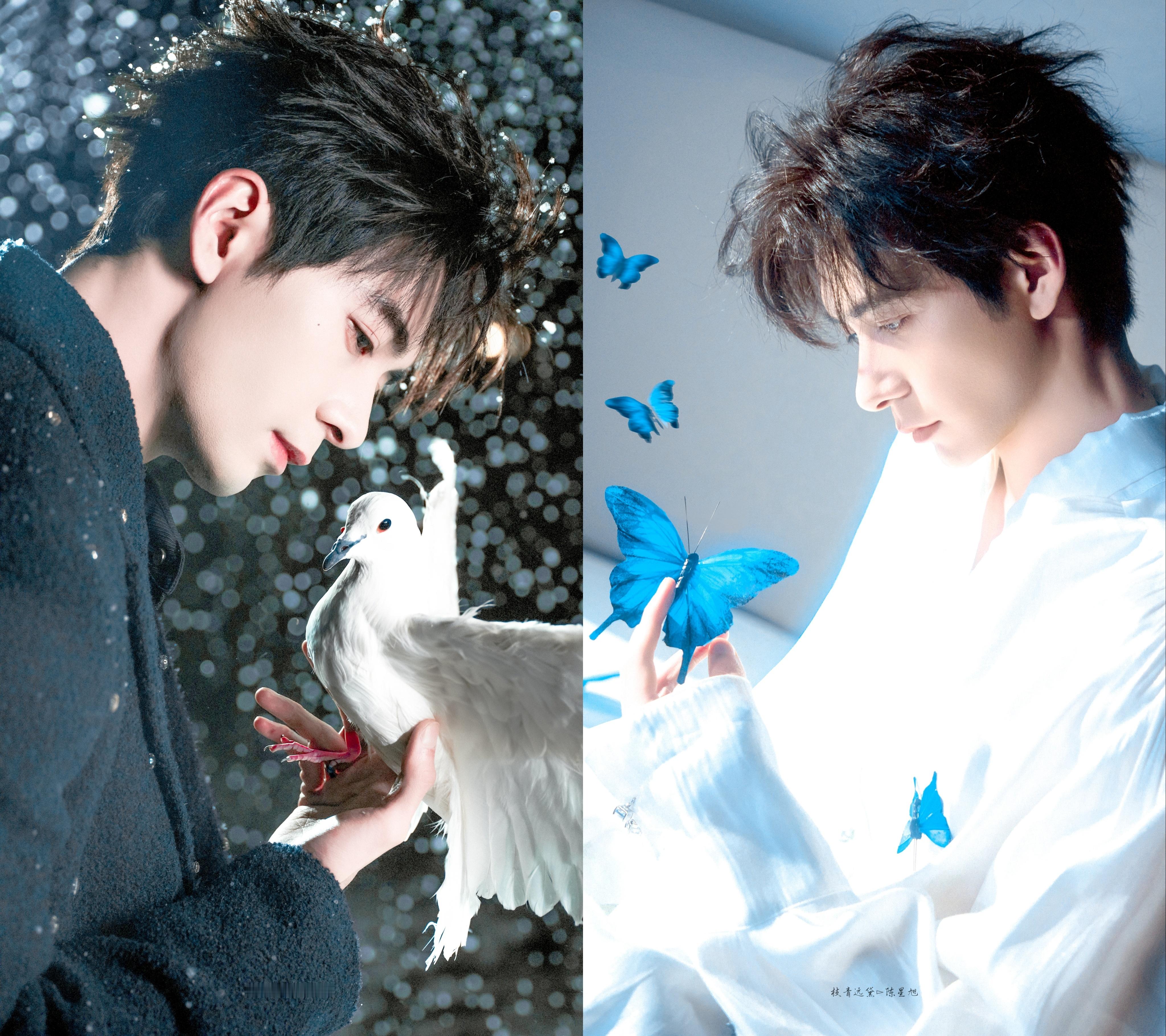 陈星旭 陈星旭爸粉大本营 陈星旭  素袍曳地沾着星屑，祂立于凡尘与神域之隙，神秘