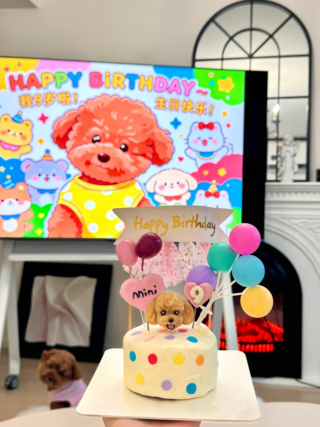 小狗狗过生日啦🎂