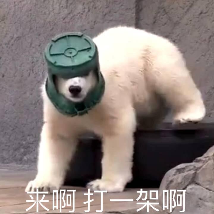 每天一条冷知识 加拿大北部的小镇丘吉尔，居民们有一个奇特的生活习惯，那就是出门停