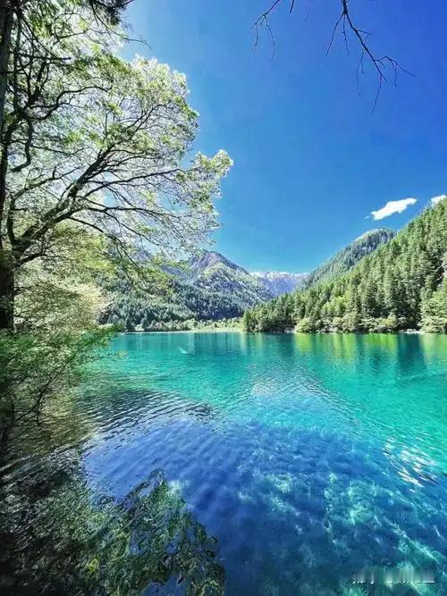 人到了中年，
最大的恐慌，
从来不是没钱。
前几天接到一个朋友的电话，
她在那头