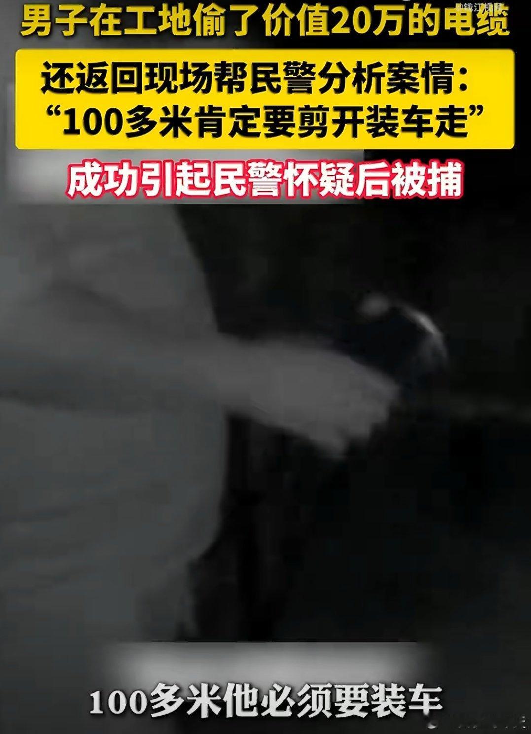男子偷20万电缆返回现场帮民警分析在浙江温州一起价值20万元的工地电缆盗窃案中，